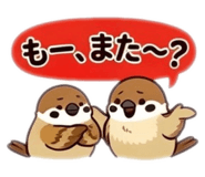 855556553