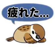 855556554