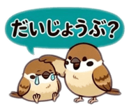 855556555