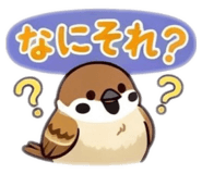855556556