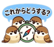 855556567