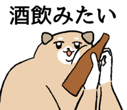 855557474