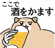 855557481