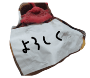 855558295