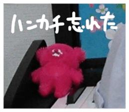 855558312