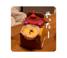 855558316