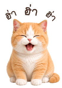 855558762