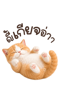 855558781