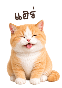 855558782