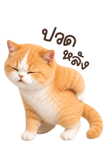 855558786