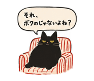855564724
