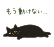 855564734