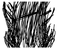 855565624