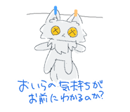 855566531