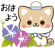 855568729