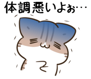 855568746