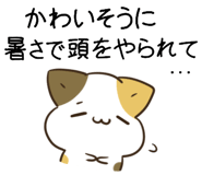 855568757