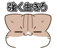 855568760