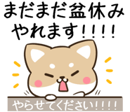 855568764