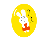 855569507