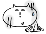 85557