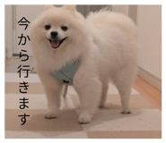 855570107