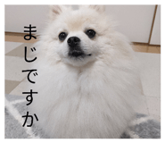 855570108