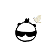 855570766