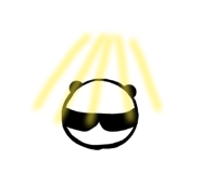 855570767