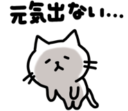 855573070