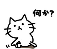 855573079