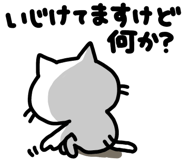 855573080
