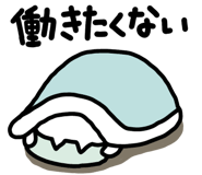 855573084
