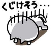855573090
