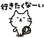 855573096