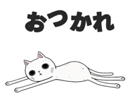 855573417