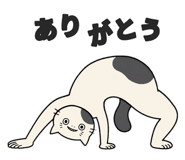855573419