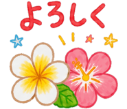 855573704