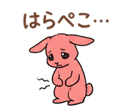 855573970