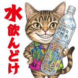 855574299
