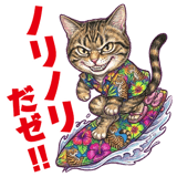 855574301