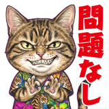 855574314