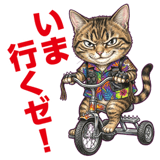 855574324