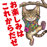 855574332