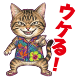 855574335