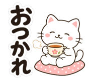 855574428