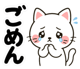855574430