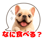 855575159