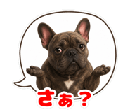855575175