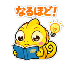 855575285